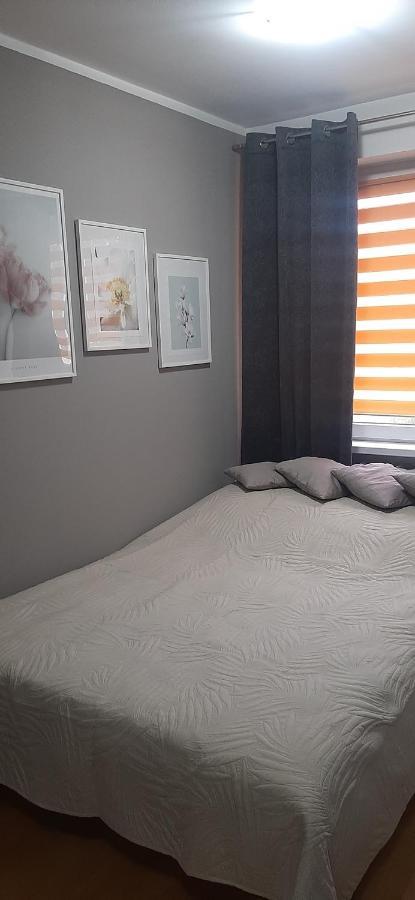 Апартаменты Flowers Apartament Пила Экстерьер фото