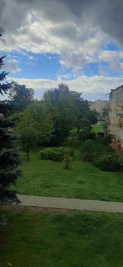 Апартаменты Flowers Apartament Пила Экстерьер фото